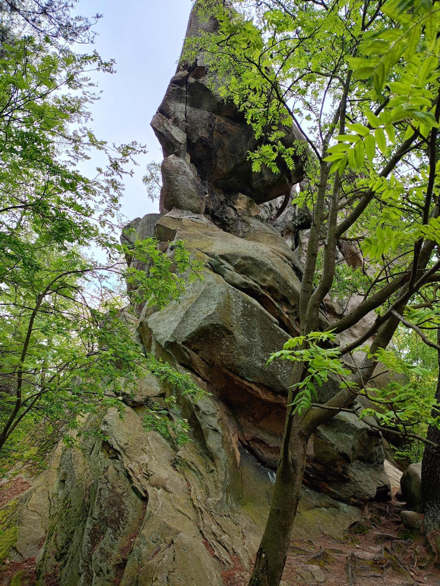 Domki Nad Potokiem W Baligrodzie Dış mekan fotoğraf